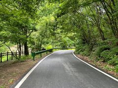 -三块石国家森林公园