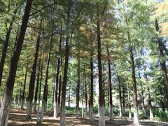 -艾溪湖湿地公园