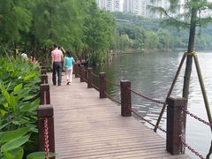 -重庆彩云湖湿地公园