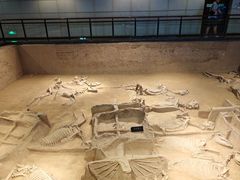 -洛阳周王城天子驾六博物馆