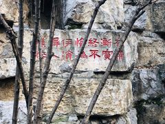 -西安曲江寒窑遗址公园