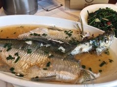 清蒸白水鱼-壹只菜·崇明本地特色菜(崇明南门店)