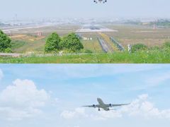 -空港花田景区