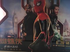 -中影嘉华国际影城(大芬星都里店)