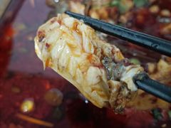 -风鑫铃罗非鱼(道沟店)
