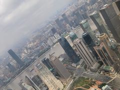 -上海柏悦酒店·世纪100牛排馆