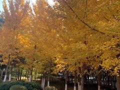-辽宁大学(崇山校区)