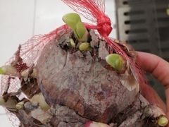 -三旗百汇商品城