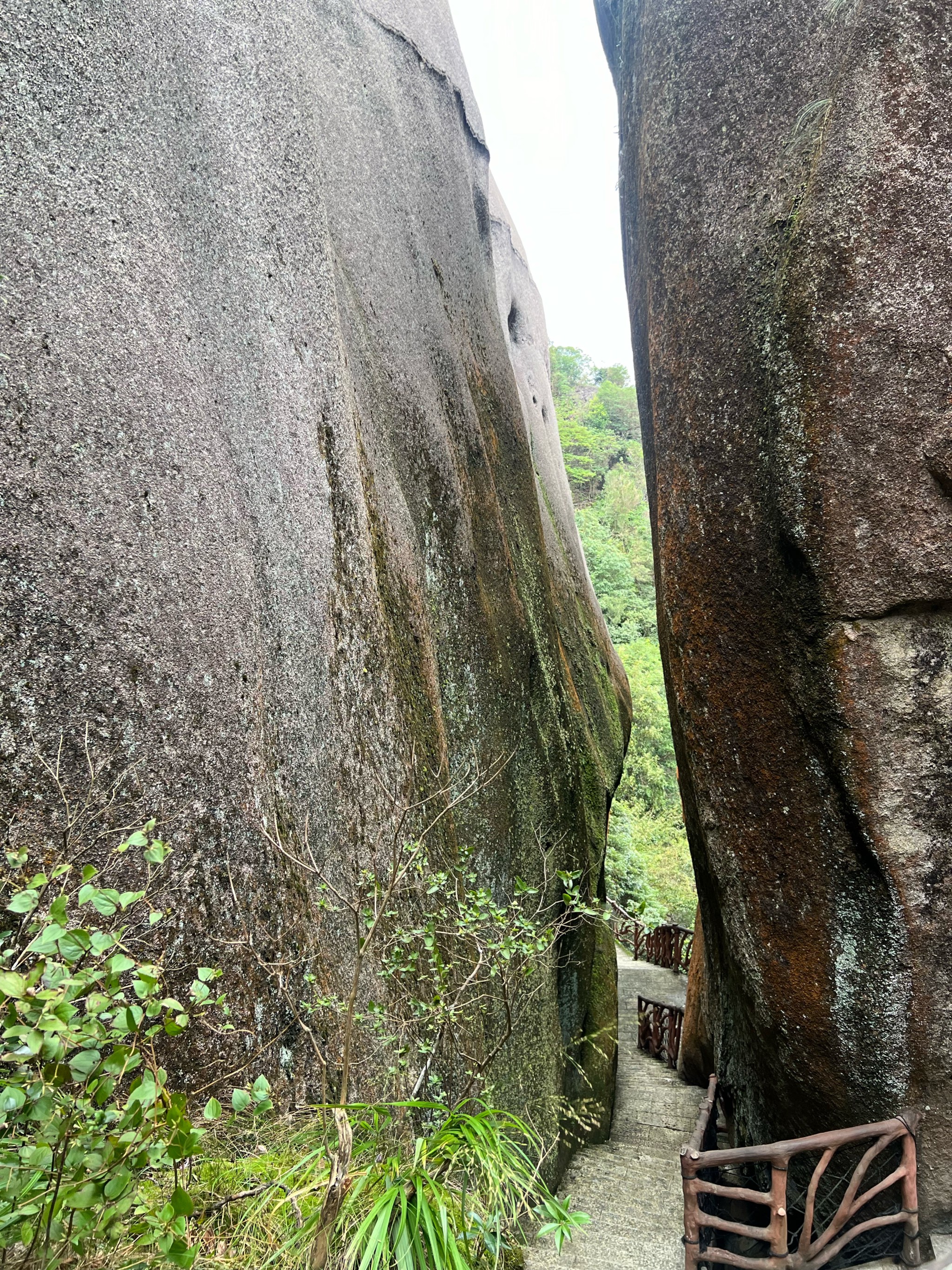 太姥山萨公岭图片