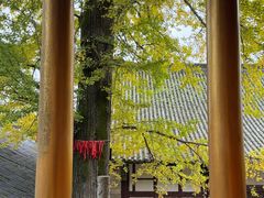 -金堂县云顶石城风景区