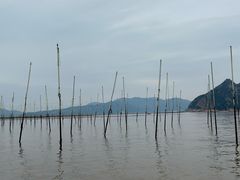-北岐滩涂