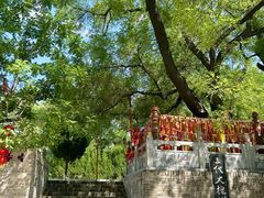 -大槐树寻根祭祖园