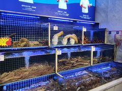 -开海·红岛海鲜虾水饺(石老人店)