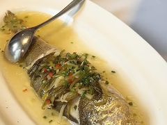 -老洋房花园饭店(绍兴路店)