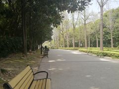 -苏州河梦清园环保主题公园