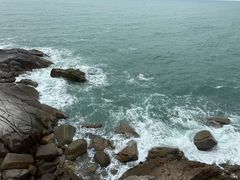 -广东惠东海龟国家级自然保护区