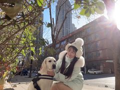 -天宠宠物医院24小时·急重症诊疗中心·全科·腔镜特色(和平分院)