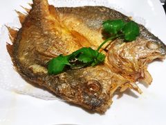 香煎黄花鱼-老廣食堂(区庄店)