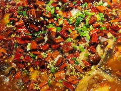 -向川南·水煮鱼·川菜(和平里店)