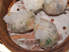 -新兴·金羊座·粤菜点心(乐峰店)