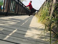 -羊亭河湿地公园