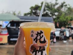 -花竹村