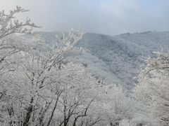 -湖州龙王山景区