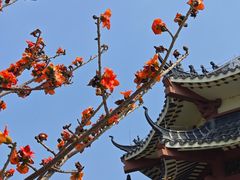 -三水森林公园