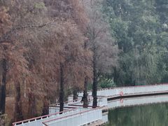 -东莞植物园