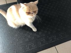 -王牌包子(上游街店)