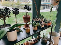 -山下C5cafe(惠通时代广场店)