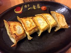 博多一幸舍(侨福芳草地店)-博多一幸舍(侨福芳草地购物中心店)