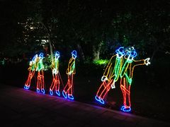 -珠江夜游广州塔·中大码头