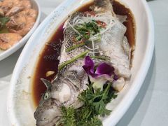 -东北大院·东北菜(三台子店)