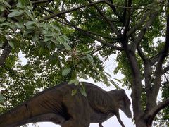 -自贡恐龙博物馆