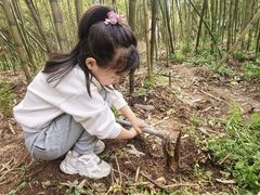 -同里国家湿地公园