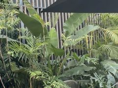 -星巴克臻选(成都太古里店)