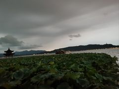 -西湖游船