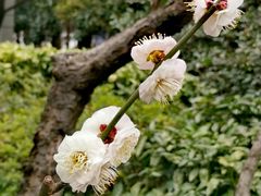 -静安雕塑公园