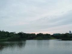 -福田红树林生态公园