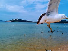 -海驴岛(荣成市)