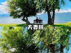 -兴盛大桥