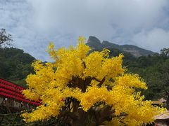 -黄崖洞文化旅游区