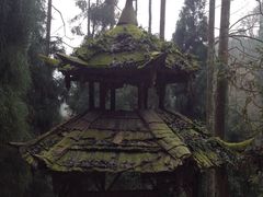 -青城后山
