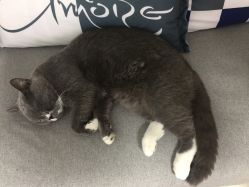 -Pink You美甲美睫纹绣定制中心