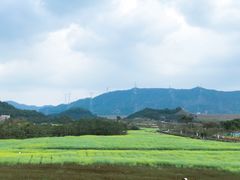 -光明小镇欢乐田园