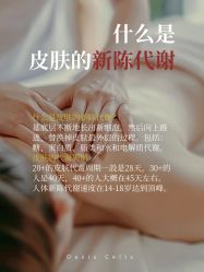 点击看大图 -玛莲朵·海菲秀冰珀科