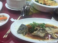 -金碧轩粤菜海鲜大酒楼