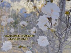 -陕西省西安植物园