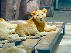 -鄂尔多斯野生动物园